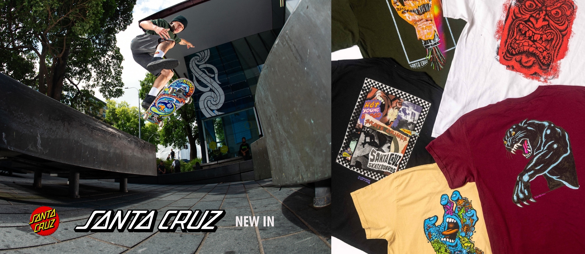 Nuovi Arrivi Santa Cruz