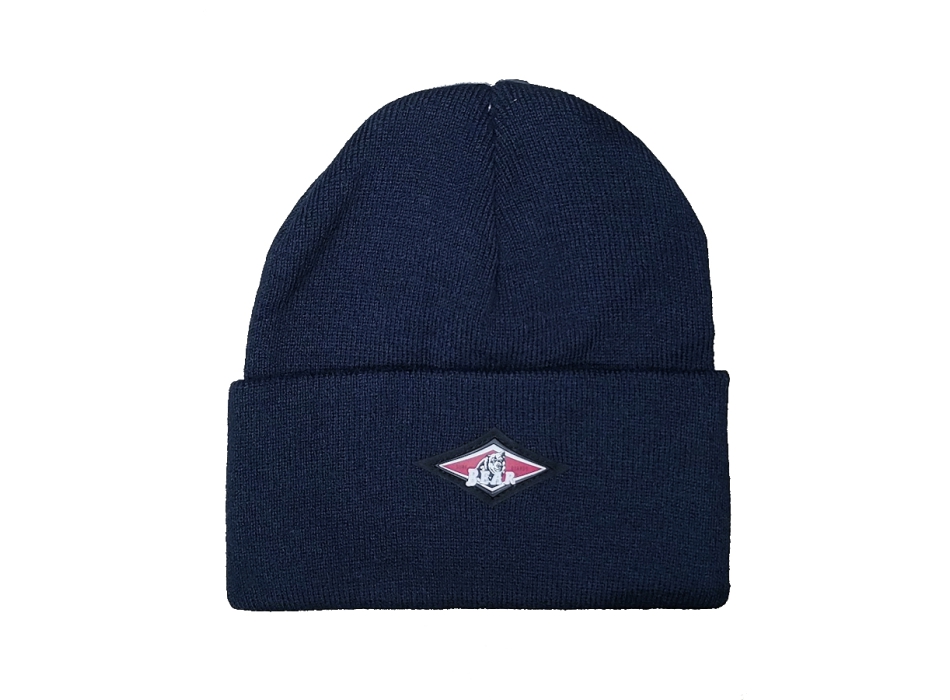 BEAR SURFBOARDS BERRETTO BEANIE SKY CAPTAIN