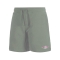 BEAR SURFBOARDS PANTALONI CORTI IN FELPA SMALL LOGO SHADOW