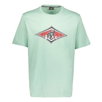 BEAR SURFBOARDS T-SHIRT LOGO LICHEN