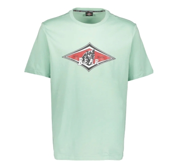 BEAR SURFBOARDS T-SHIRT LOGO LICHEN
