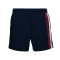 BEAR SURFBOARDS VOLLEY STRIPES SHORTS DRESS BLUE