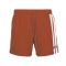BEAR SURFBOARDS VOLLEY STRIPES SHORTS LANGOUSTINO