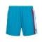 BEAR SURFBOARDS VOLLEY STRIPES SHORTS MOSAIC BLUE