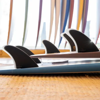 FCS II PINNE CHRISTENSON PG TWIN +1 FIN SET