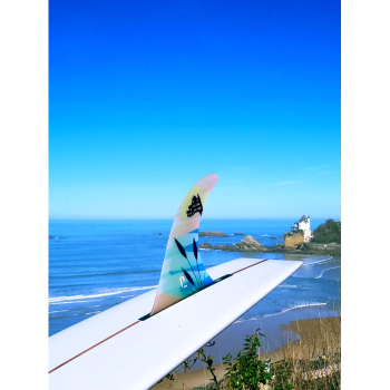 JUST 9.75” PINNA LONGBOARD SINGLE FIN NOSERIDER FIBERGLASS GREEN