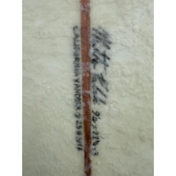 MF MATTEO FABBRI 9'4'' LONGBOARD SINGLEFIN (USATO)