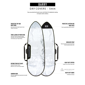 OCEAN & EARTH 5'8" BARRY BASIC SACCA FISH FUNBOARD