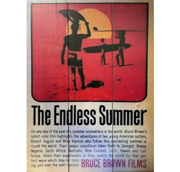 QUADRO SURF VINTAGE ISLANDS ENDLESS SUMMER