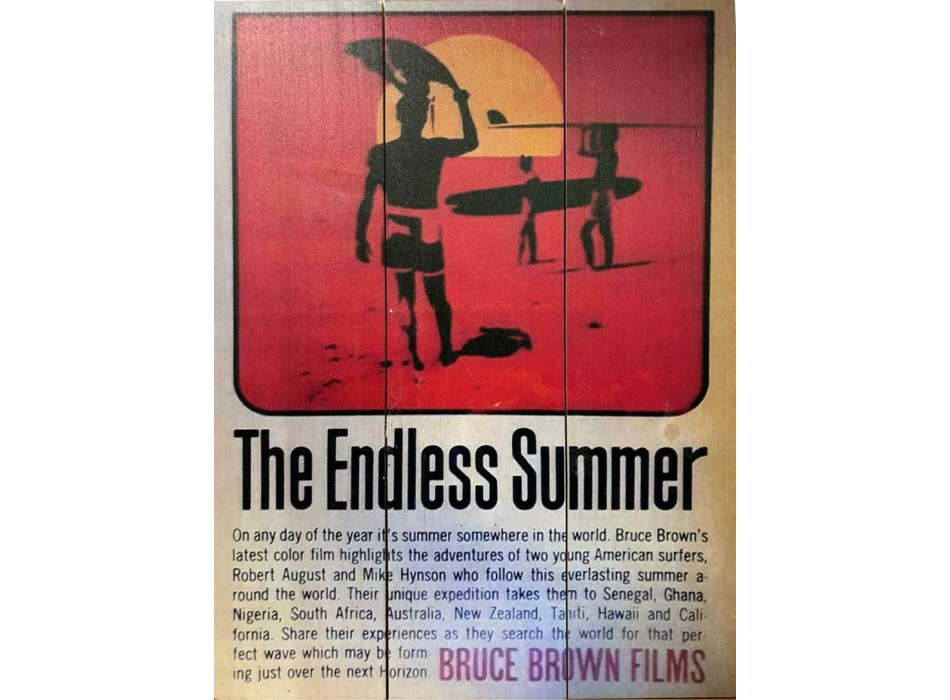 QUADRO SURF VINTAGE ISLANDS ENDLESS SUMMER