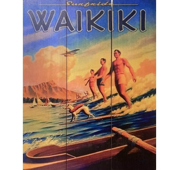 QUADRO SURF VINTAGE ISLANDS ENDLESS SUMMER