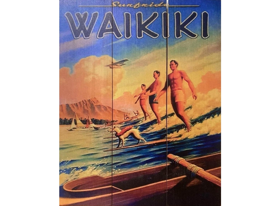 QUADRO SURF VINTAGE ISLANDS ENDLESS SUMMER