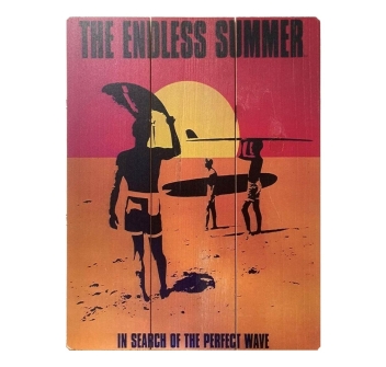 QUADRO SURF VINTAGE ISLANDS ENDLESS SUMMER