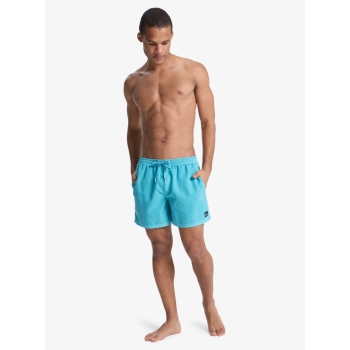 QUIKSILVER EVERYDAY SURFWASH VOLLEY 15" AQUA