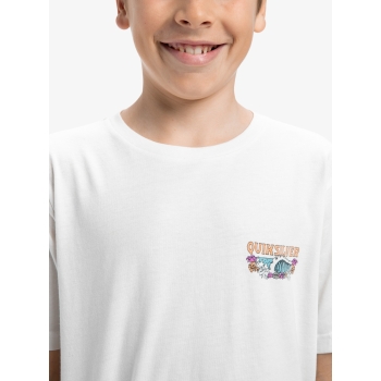 QUIKSILVER EVO AQUA WILD T-SHIRT RAGAZZO 8-16 ANNI