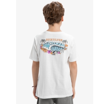 QUIKSILVER EVO AQUA WILD T-SHIRT RAGAZZO 8-16 ANNI