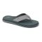 REEF INFRADITO THE LAYBACK GREY