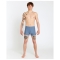 RIP CURL CORP BOYLEG SLUGGO COSTUME BOXER DUSTY BLUE