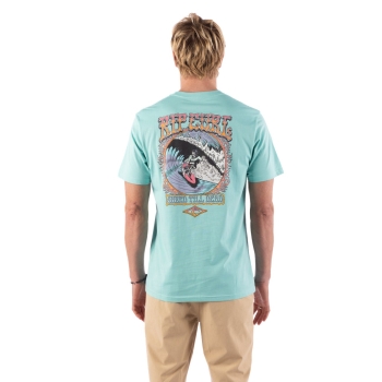 RIP CURL T-SHIRT AMAZON AZ BRANDED NAVY
