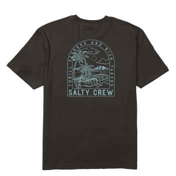 SALTY CREW ARCHWAY CLASSIC T-SHIRT BLACK