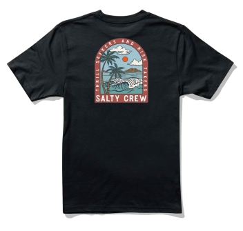 SALTY CREW ARCHWAY CLASSIC T-SHIRT BLACK