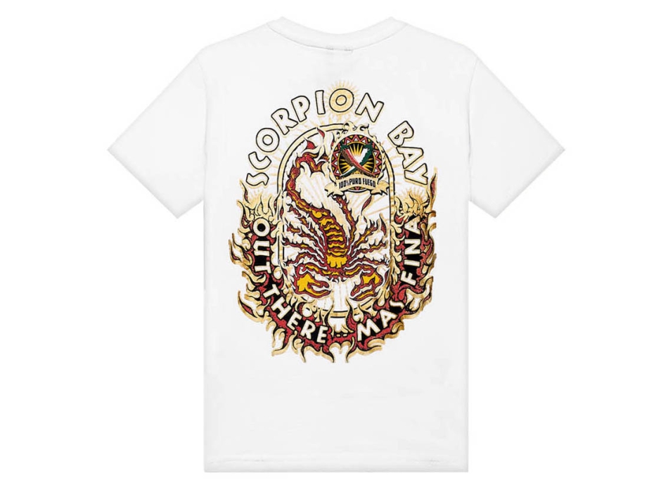 Felpe scorpion bay ragazzo hotsell