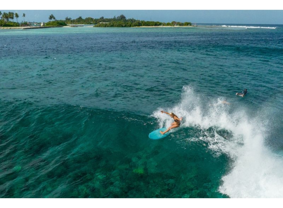 TORQ 5'11" - 7'2" TET FISH POP CORAL