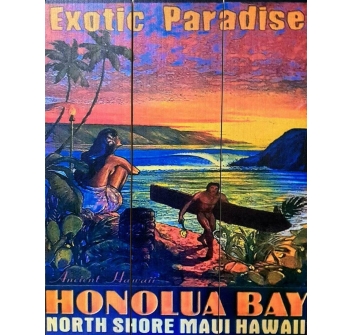 VINTAGE ISLANDS QUADRO SURF HONOLUA BAY EXOTIC ISLAND