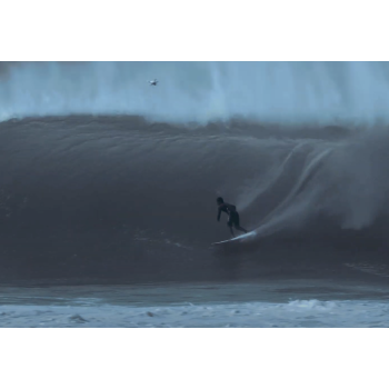 jack robinson futures